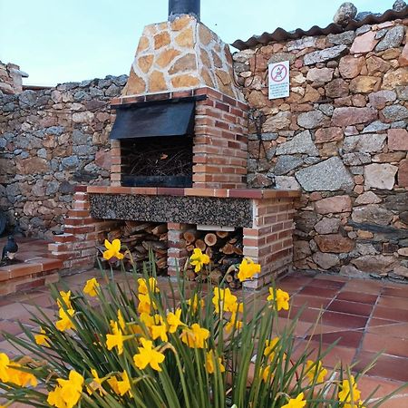 Villa La Casa Del Buho Santa Maria la Real de Nieva Esterno foto